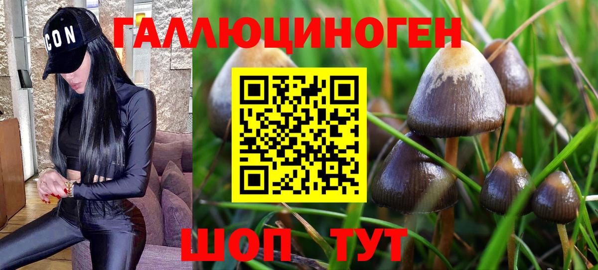 Псилоцибиновые грибы мухоморы Королёв