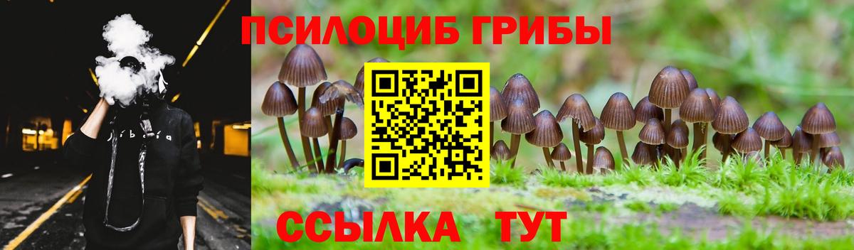 Королёв  Галлюциногенные грибы прущие грибы  даркнет сайт  Вход с VPN  Галлюциногенные грибы Psilocybe 